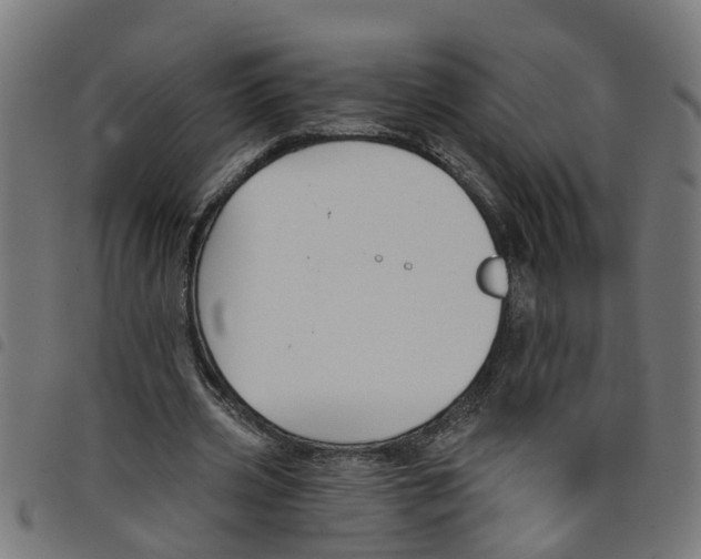 X0000098050533200804251106