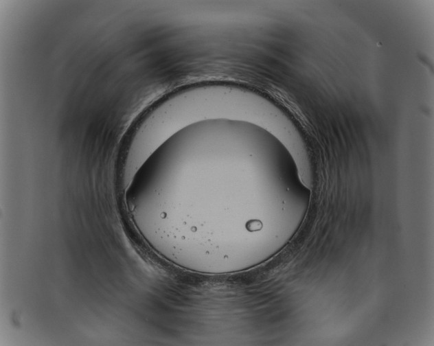 X0000098050534200804251106