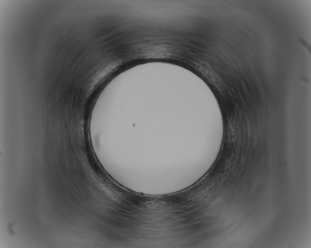 X0000098050535200804251106