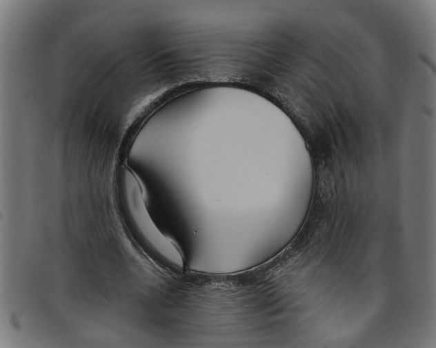 X0000098050536200804251106