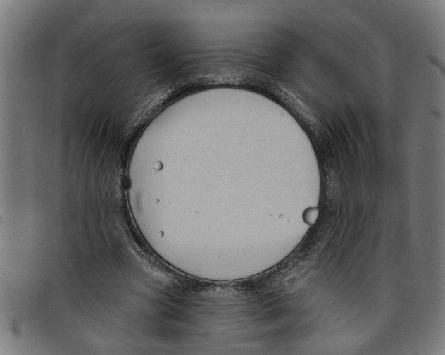 X0000098050537200804251106