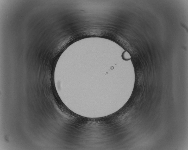 X0000098050538200804251106