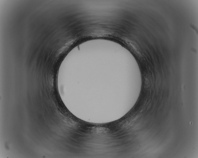 X0000098050539200804251106