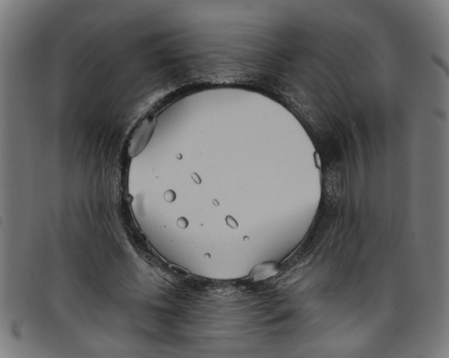 X0000098050540200804251106