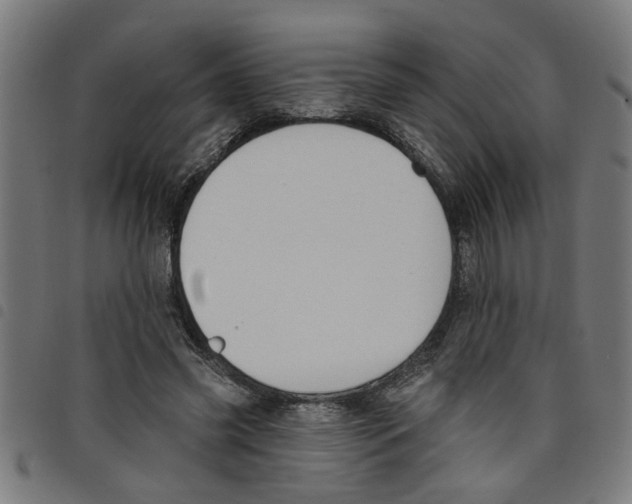 X0000098050541200804251106