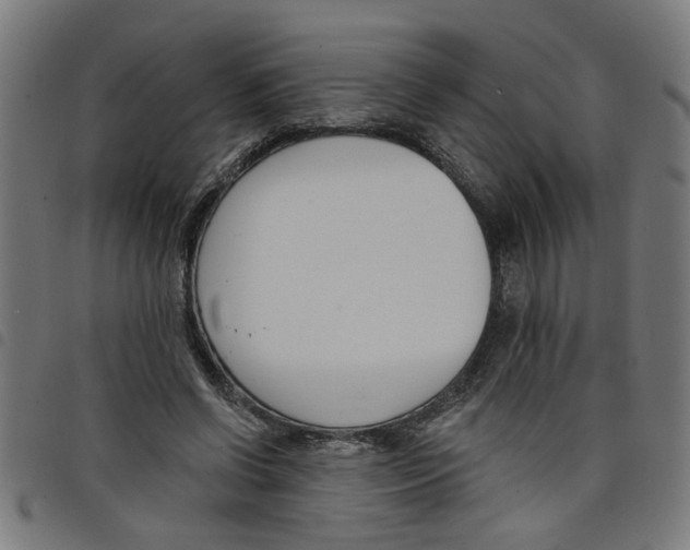 X0000098050542200804251106