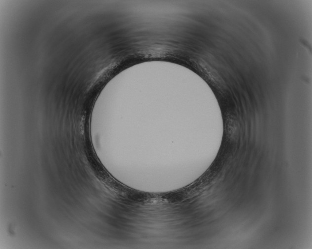 X0000098050543200804251106