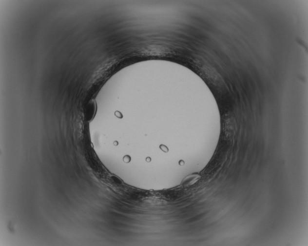 X0000098050544200804251106