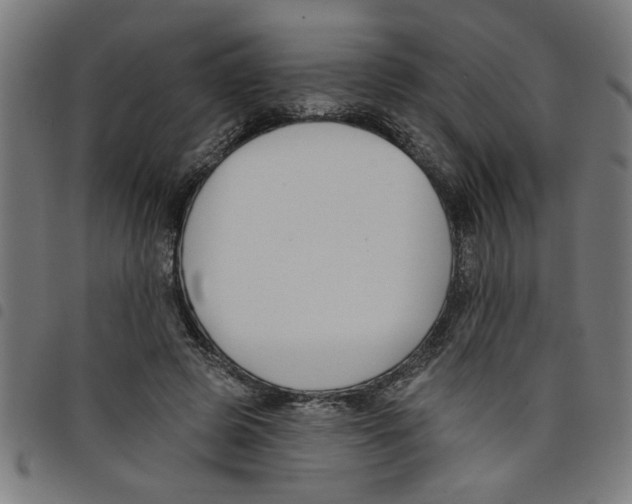 X0000098050545200804251106