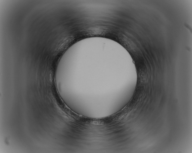 X0000098050546200804251106