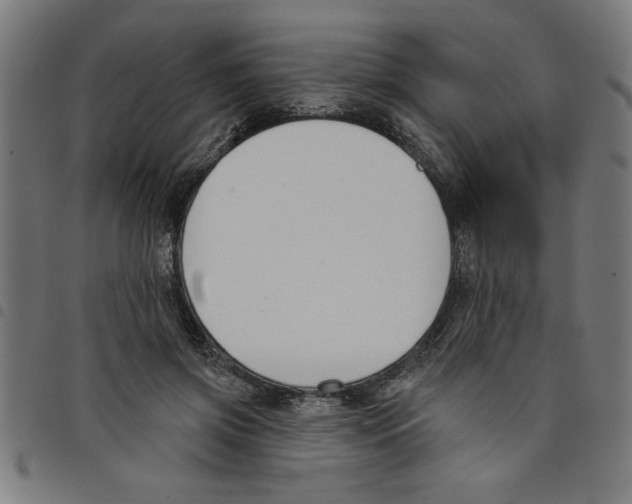 X0000098050549200804251106