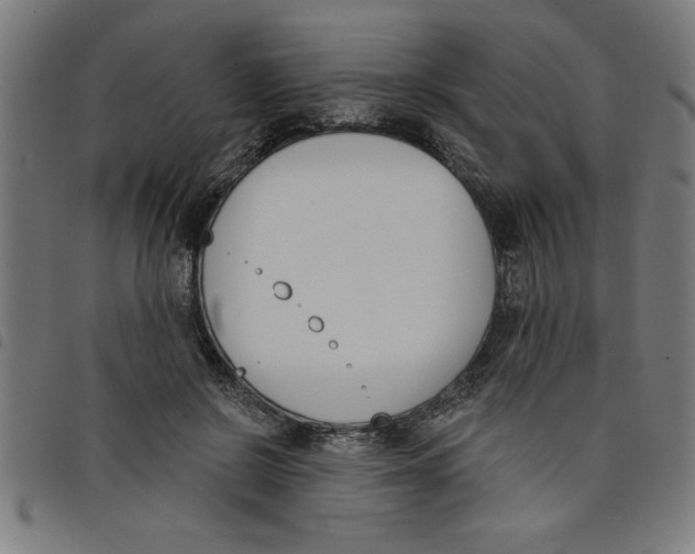 X0000098050550200804251106