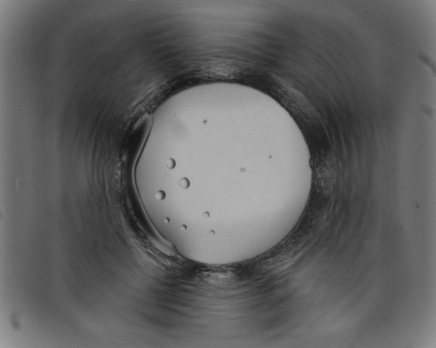 X0000098050552200804251106