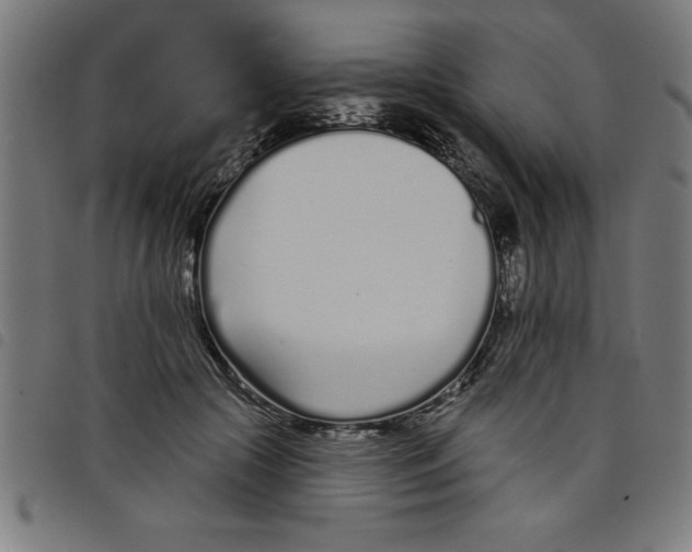 X0000098050553200804251106