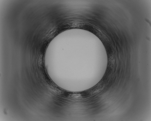 X0000098050554200804251106