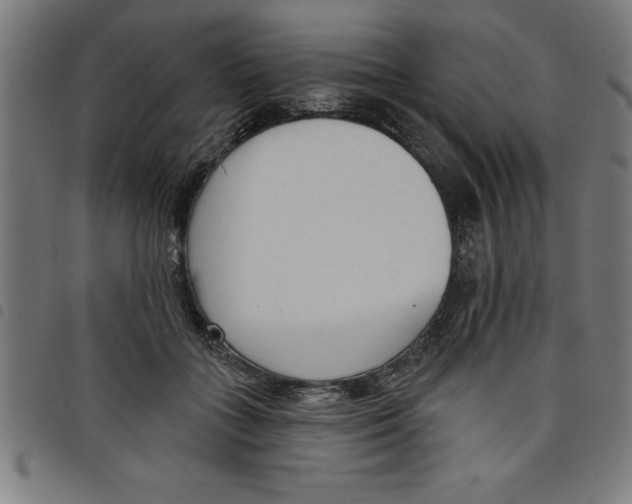 X0000098050555200804251106