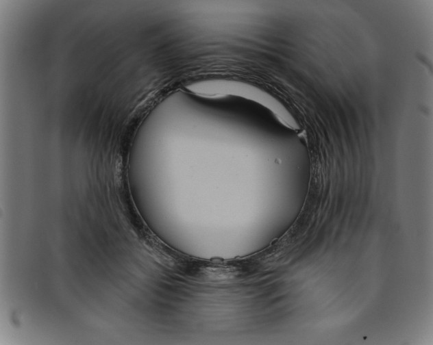 X0000098050556200804251106