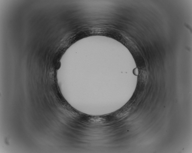 X0000098050557200804251106