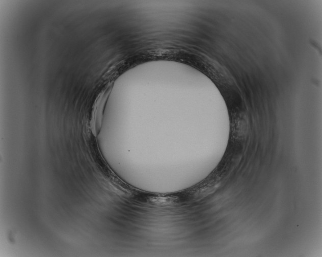 X0000098050558200804251106