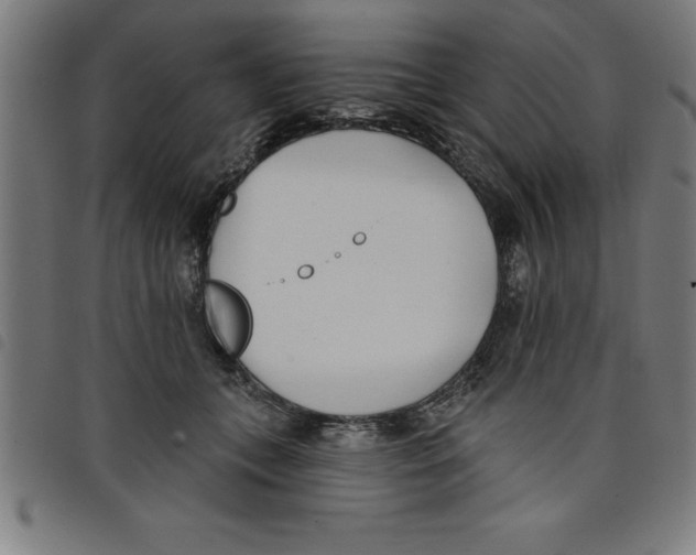 X0000098050559200804251106