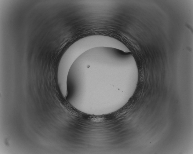 X0000098050560200804251106