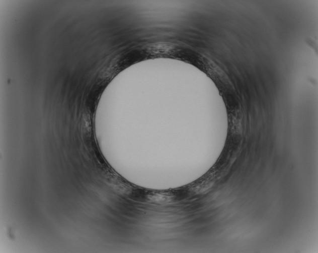 X0000098050561200804251106