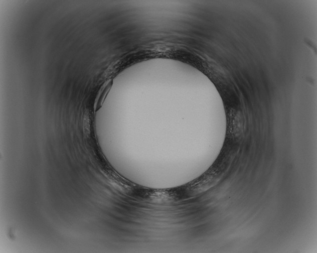 X0000098050562200804251106