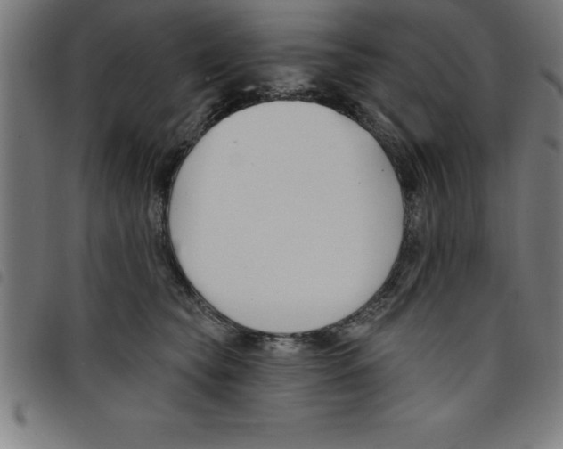 X0000098050565200804251107