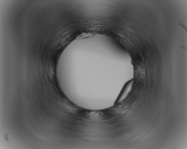 X0000098050566200804251107