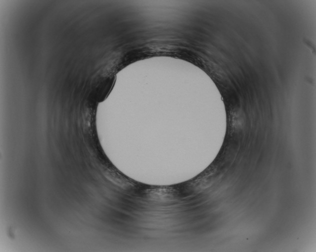 X0000098050567200804251107