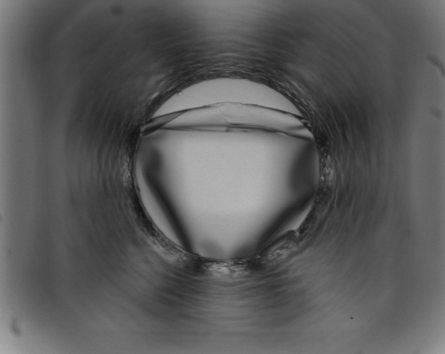 X0000098050568200804251107