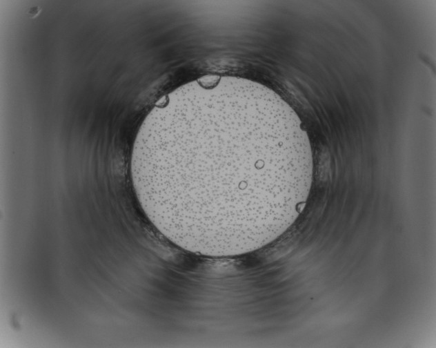 X0000098050569200804251107