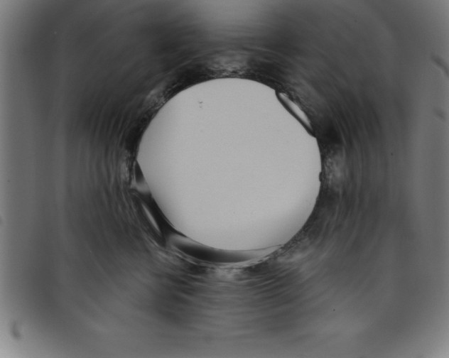 X0000098050570200804251107