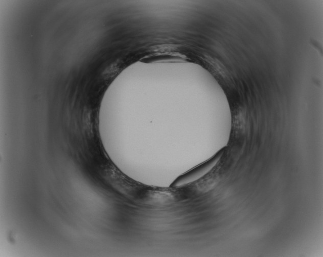 X0000098050572200804251107