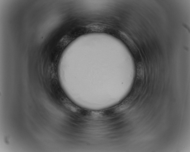 X0000098050573200804251107