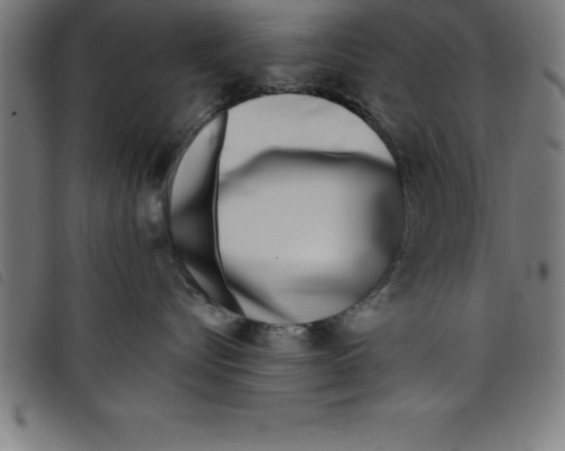 X0000098050576200804251107