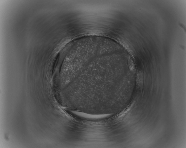 X0000098050577200804251106