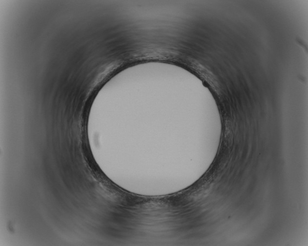 X0000098050578200804251106