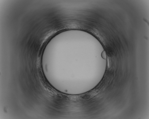 X0000098050579200804251106