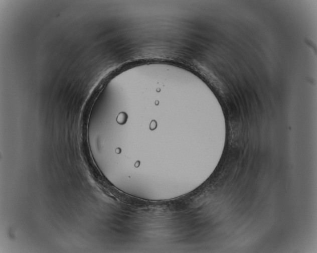 X0000098050580200804251106