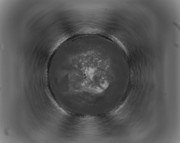 X0000098050581200804251106