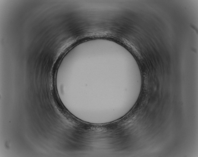 X0000098050582200804251106