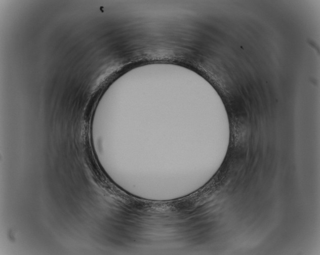 X0000098050583200804251106