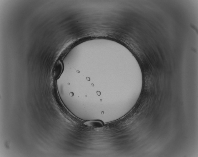 X0000098050584200804251106