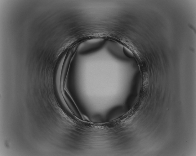 X0000098050585200804251106