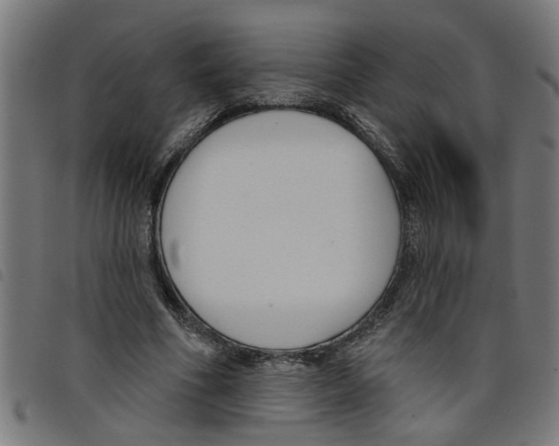 X0000098050586200804251106