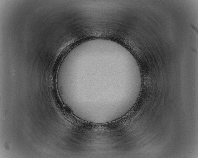 X0000098050587200804251106