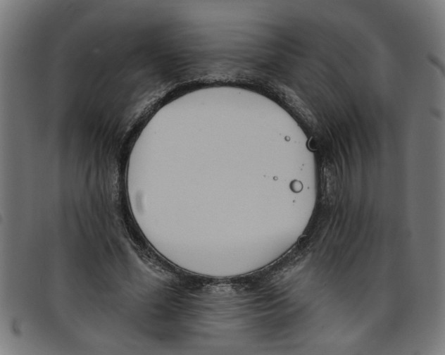 X0000098050588200804251106