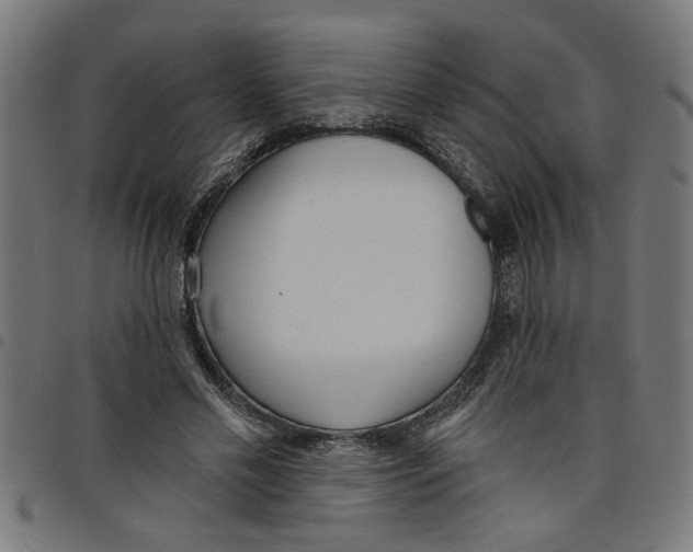 X0000098050589200804251106