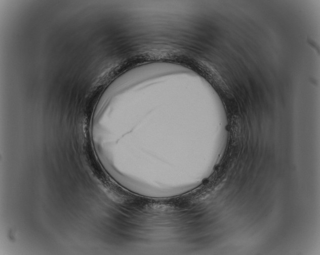 X0000098050590200804251106